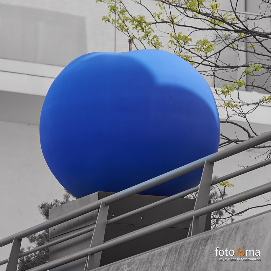 flickr-34317031990.jpg