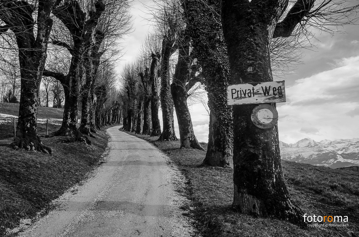 Highway to heaven... but not for all. flickr-24378362763.jpg