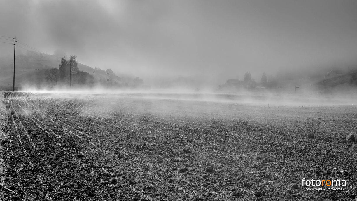 flickr-22048476454.jpg