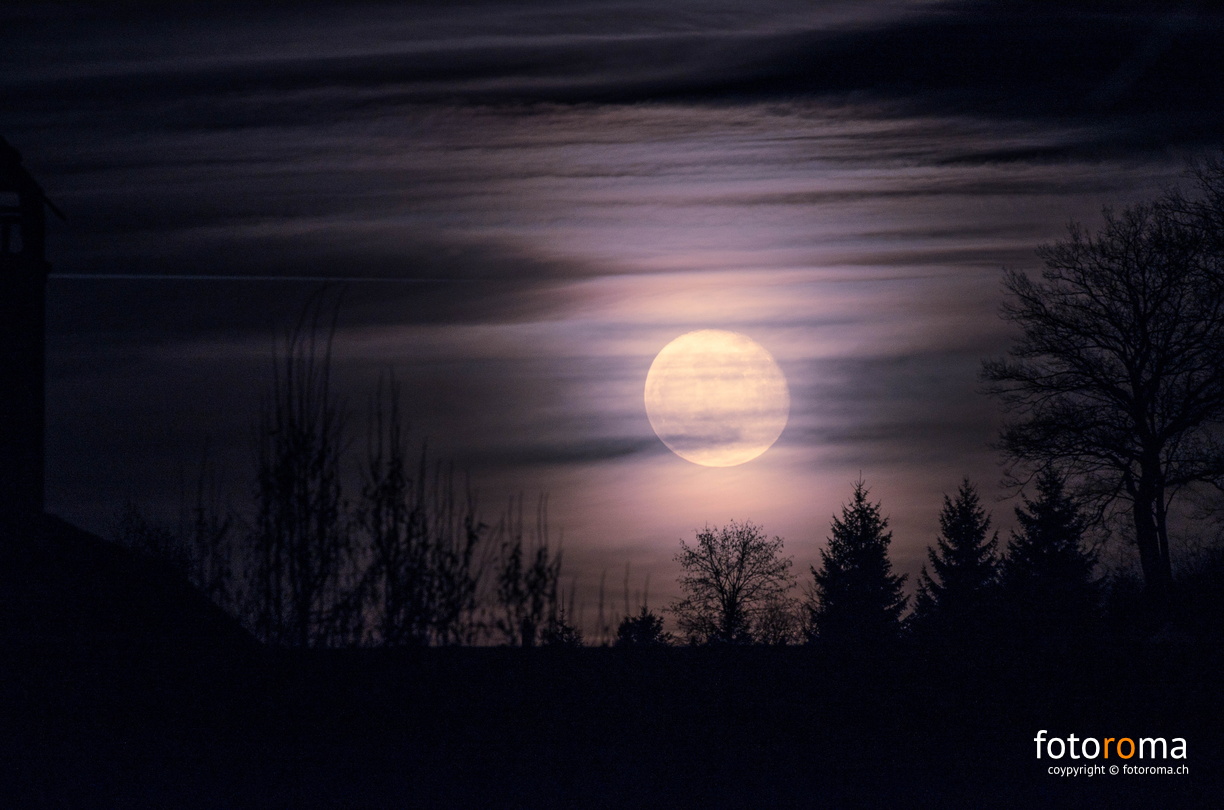 flickr-31650931626.jpg