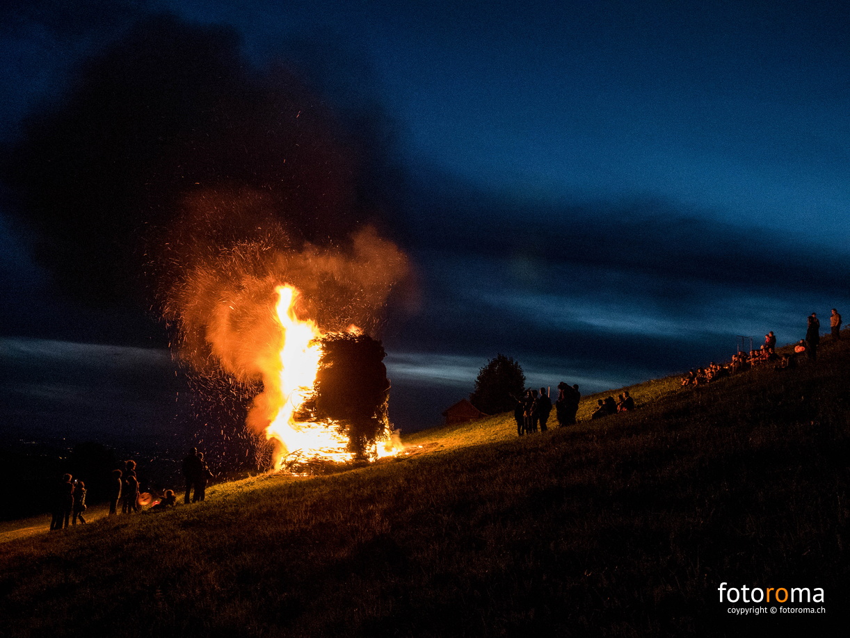 flickr-28410490323.jpg