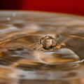 flickr-17040662629.jpg