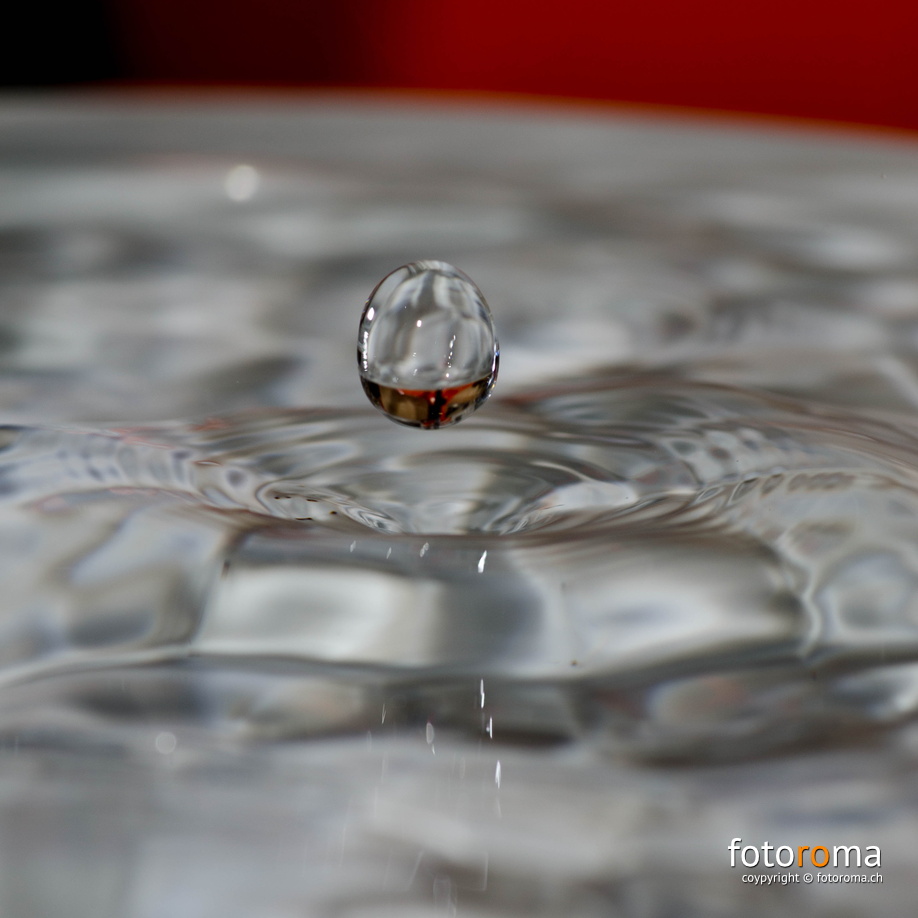 flickr-17039067888.jpg