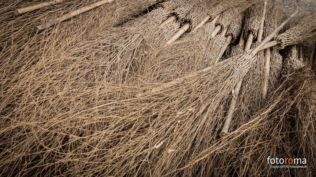 Witches' broom for sale... flickr-25631607252.jpg