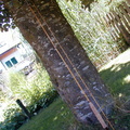 RM-2003.05.22-0043.jpg