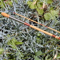 RM-2003.05.22-0045.jpg