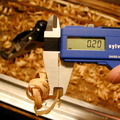 RM-2003.08.05-0076.jpg