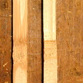 RM-2008.05.22-0139.jpg