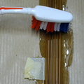 RM-2008.05.22-0164.jpg