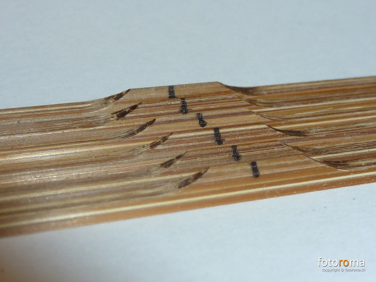 RM-2012.02.24-0067.jpg