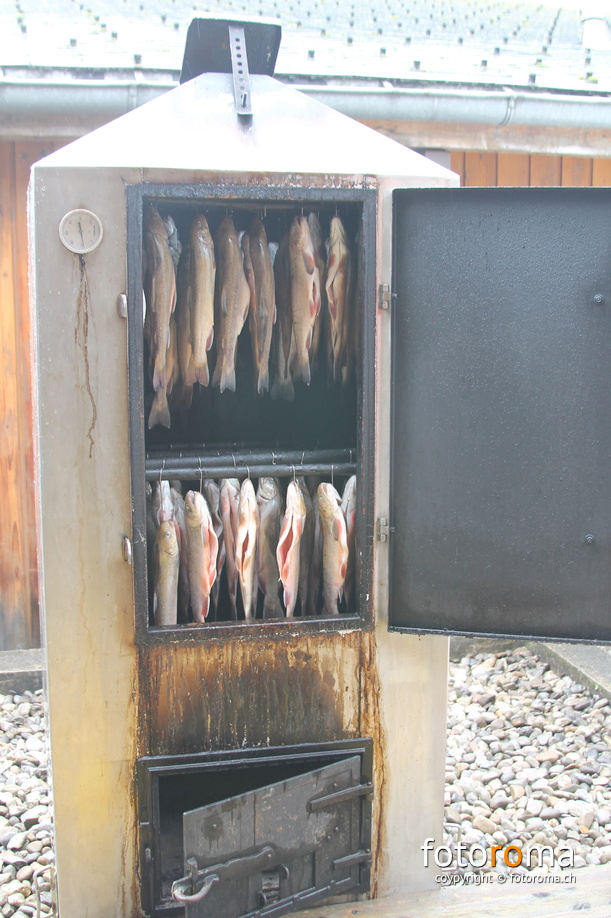 RM-2013.10.05-0545.jpg