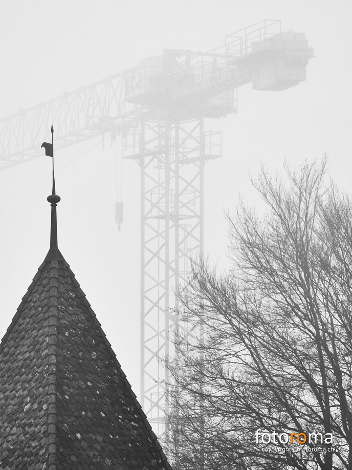 Schloss-Kran-Baum
Objektiv Sigma 150-600mm mit Adapter an Olympus OM-D E-M5
RM-2019-365-1.jpg