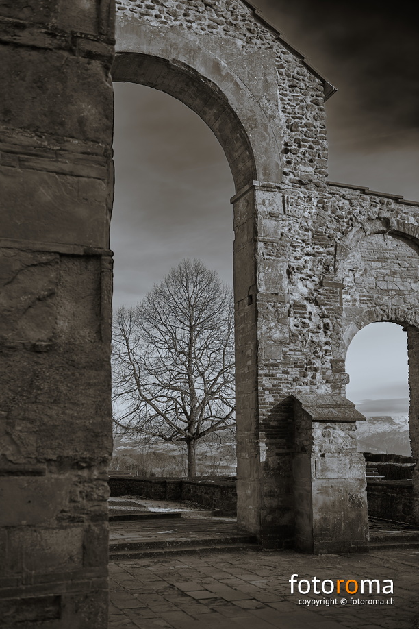 Klosterruine Rüeggisberg
RM-2019-365-4.jpg