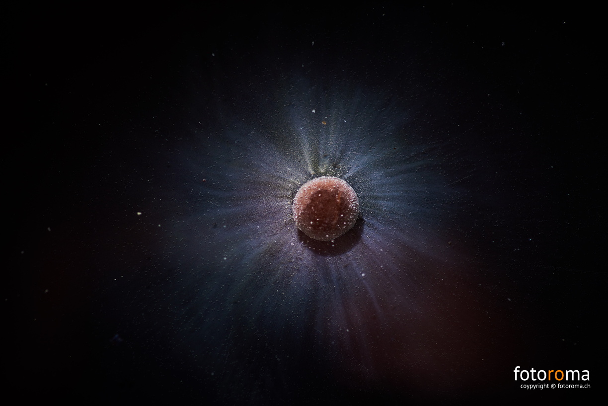 Supernova
oder wenn ein Smartie baden geht
RM-2019-365-17.jpg
