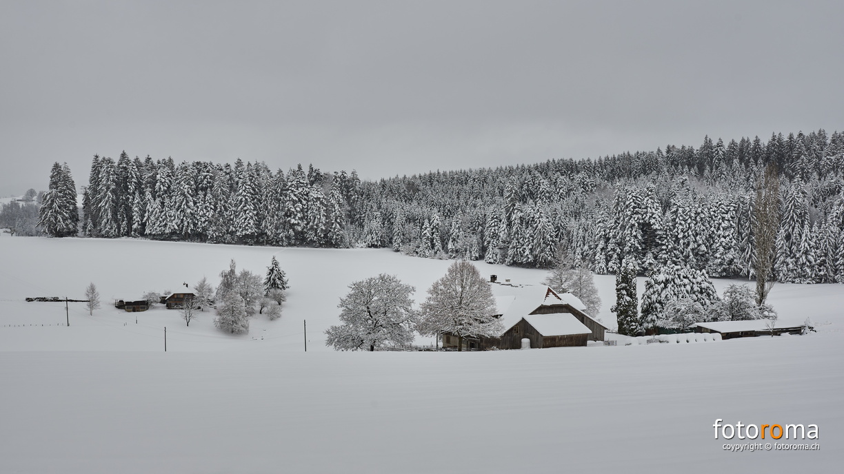 Winterlandschaft
Dorfwald, Büblern und obere Lischern
RM-2019-365-34.jpg