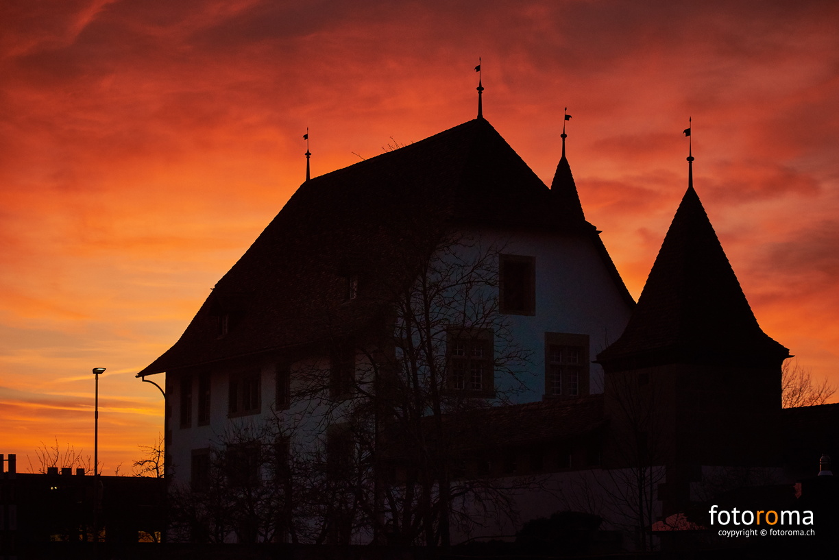 Sky on Fire
RM-2019-365-54.jpg