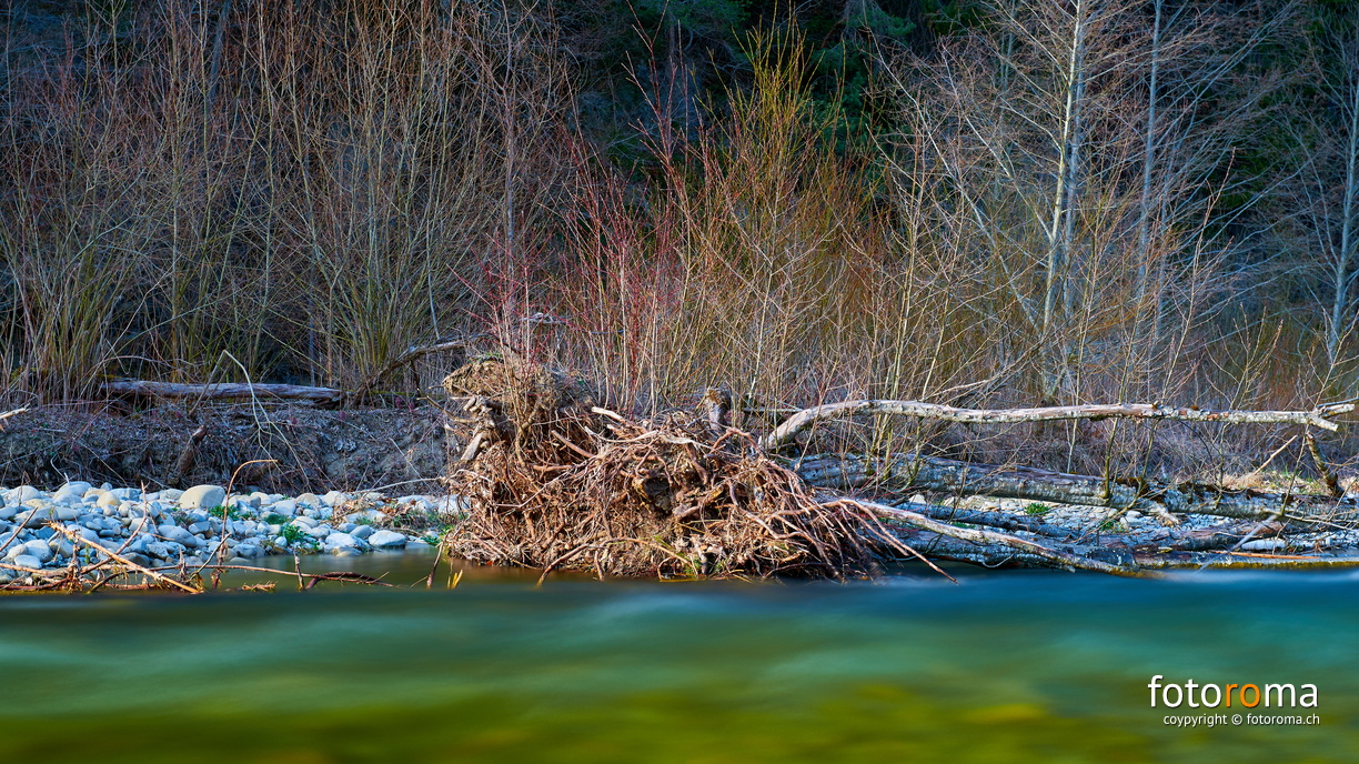 Ufergehölz
An der Sense
RM-2019-365-91.jpg