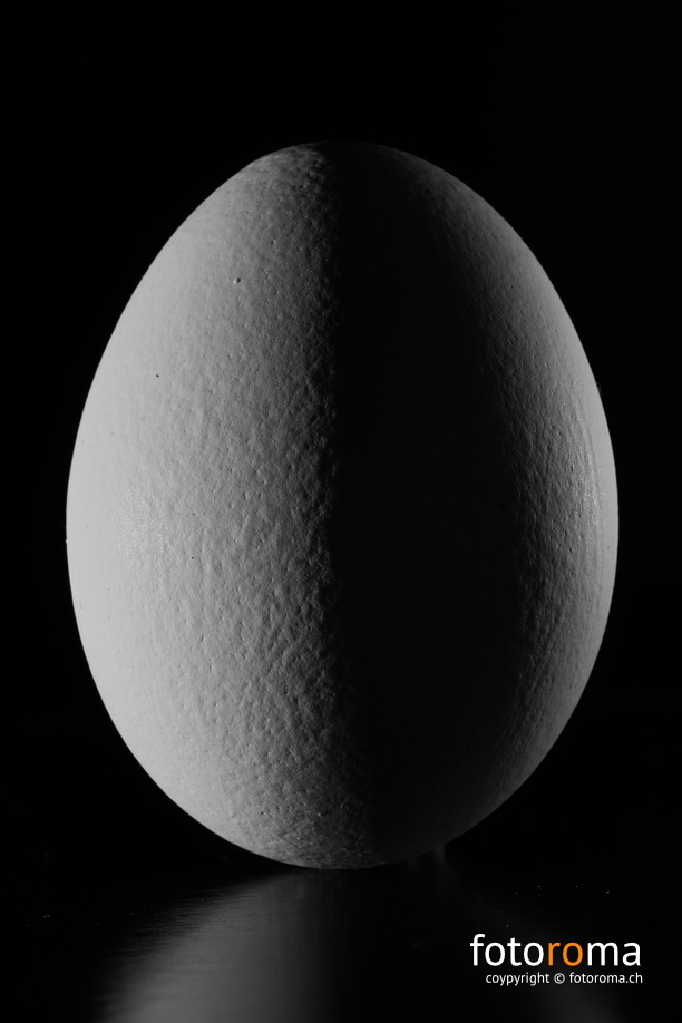 RM-2019-365-106.jpg
