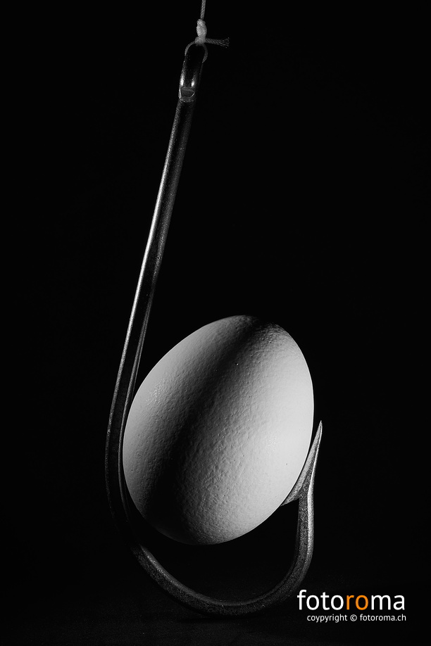 Fischerei
RM-2019-365-110.jpg