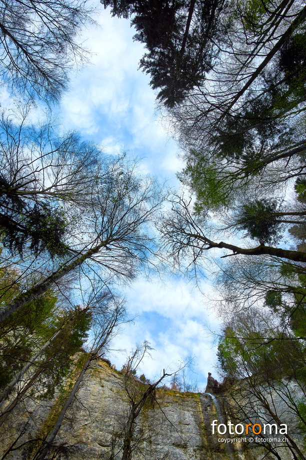 Aufwärts
Spüelibachfall
RM-2019-365-114.jpg