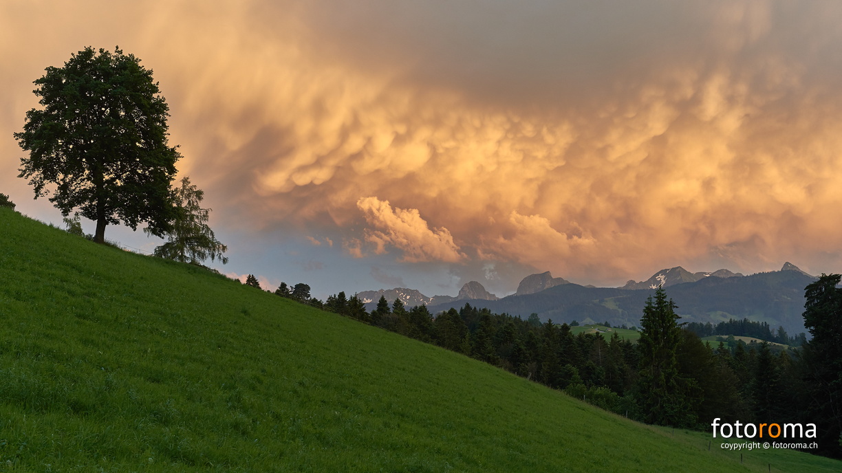Sky on fire
RM-2019-365-169.jpg