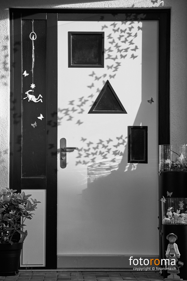 Next door
RM-2019-365-176.jpg