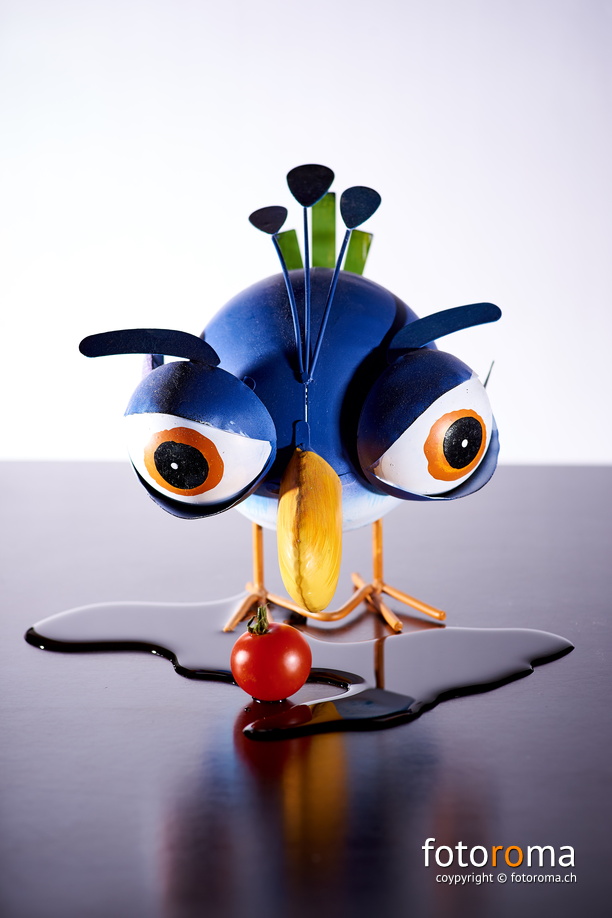 Ugly bird
RM-2019-365-179.jpg