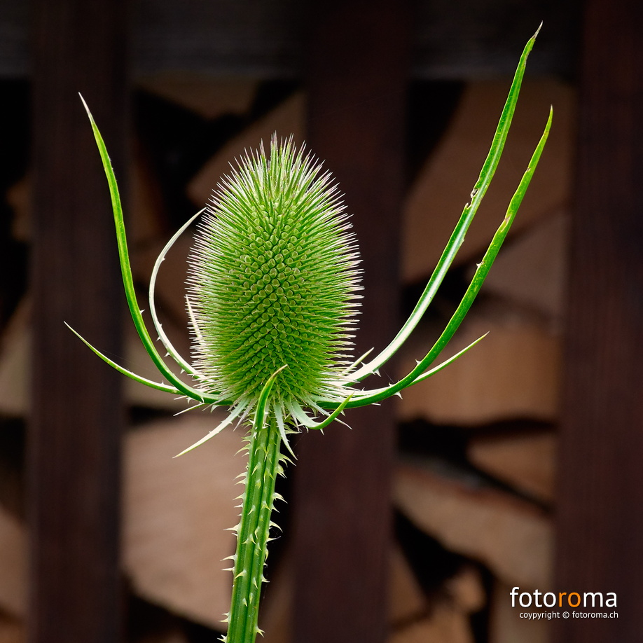 ???
Weis nid was es isch...
RM-2019-365-192.jpg