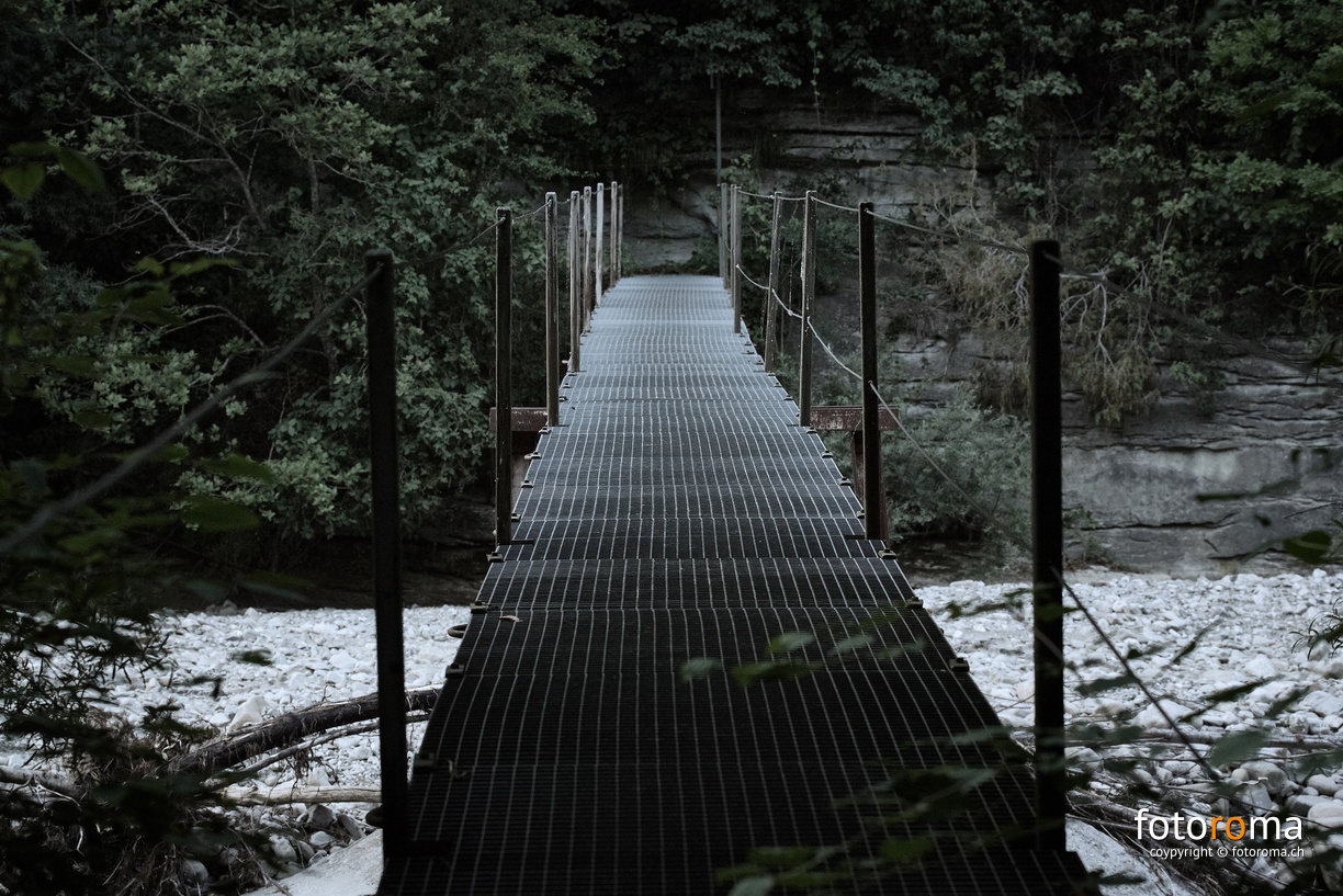 RM-2019-365-199.jpg