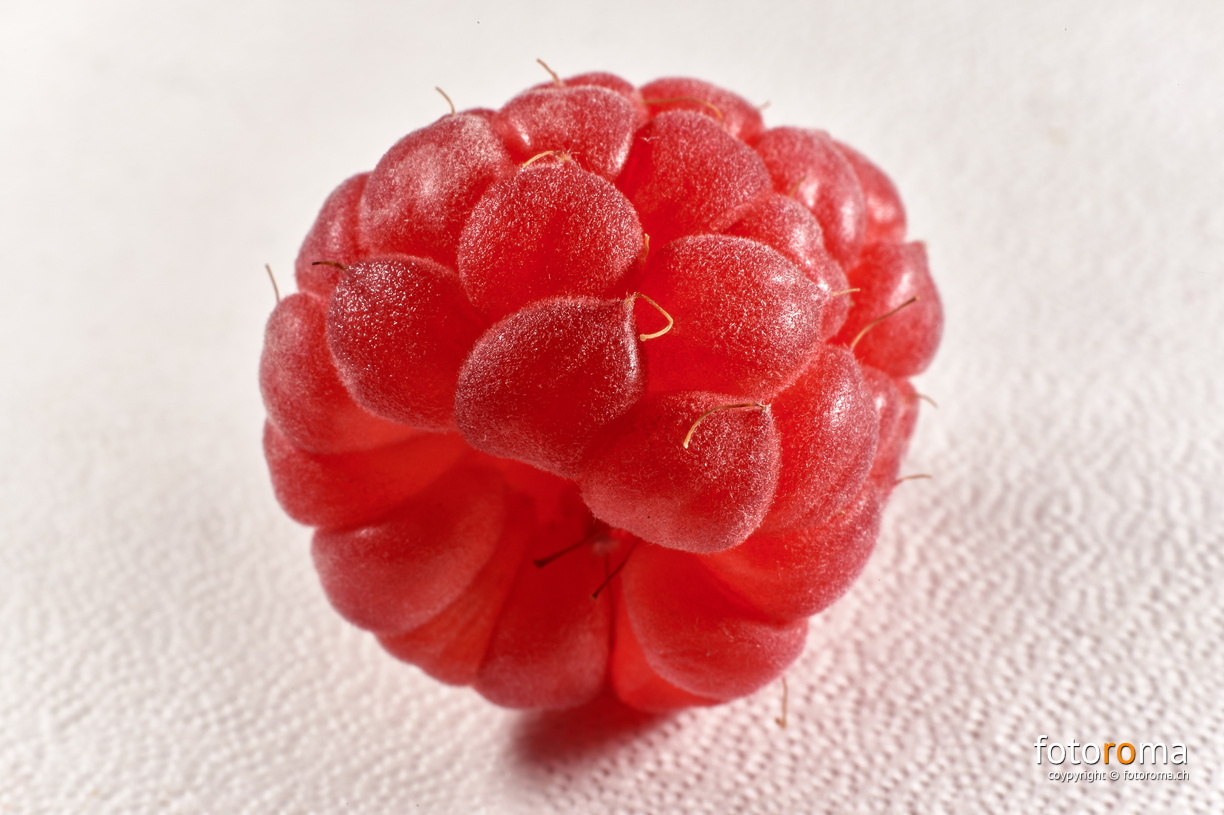 Himbeere
Selbst dann, wenn man eine rosarote Brille aufsetzt, werden Eisbären nicht zu Himbeeren.
(Franz Josef Strauß)
RM-2019-365-203.jpg