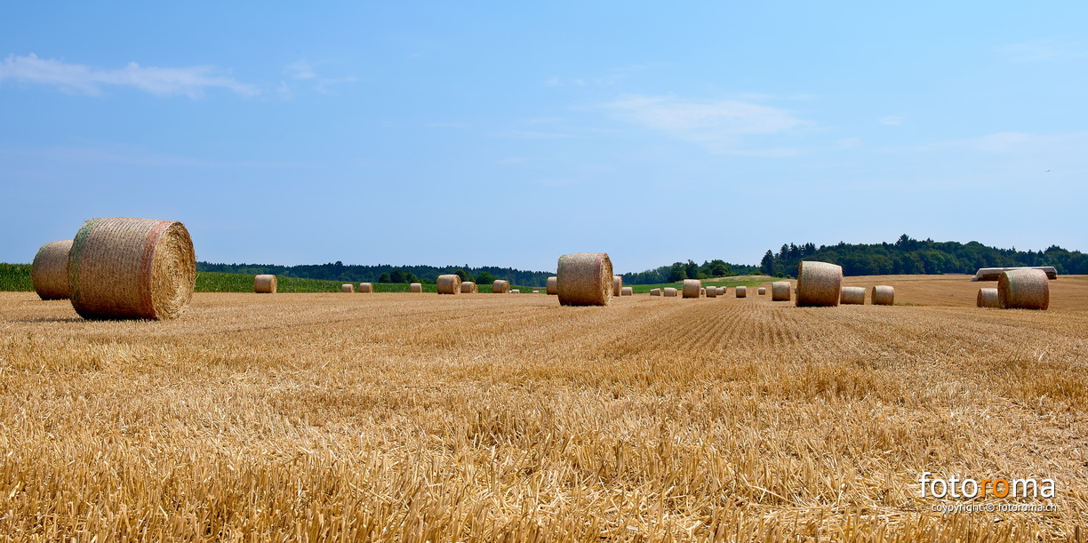 Das aufgerollte Feld
Grossaffoltern
RM-2019-365-207.jpg
