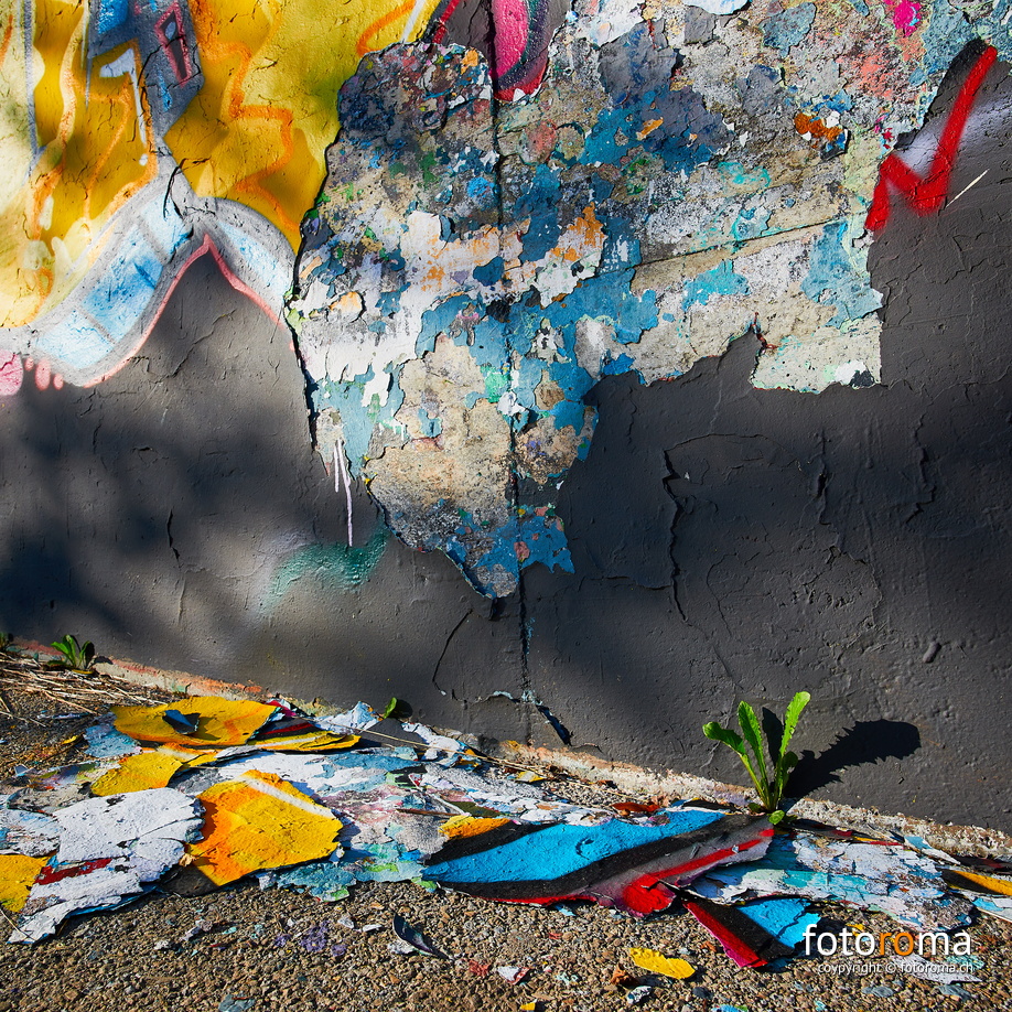 Graffiti & Gravity
RM-2019-365-226.jpg