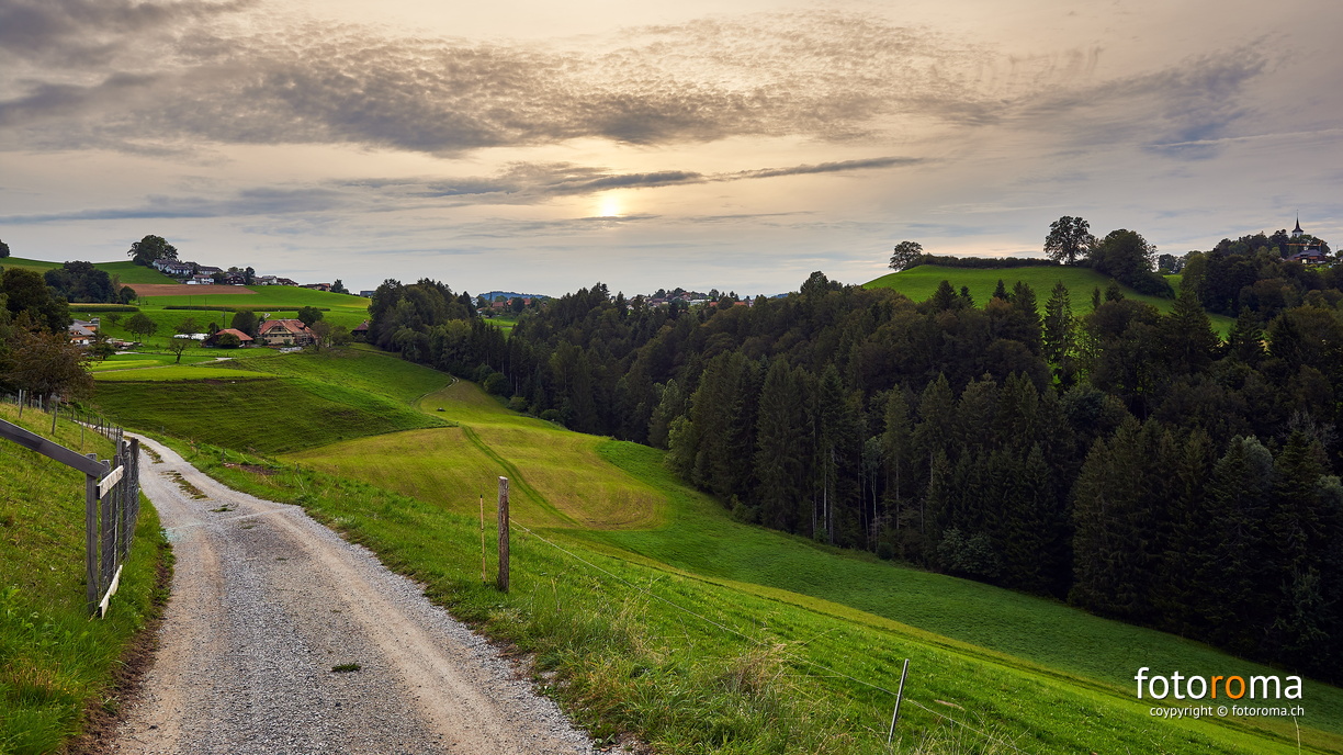 Grüeni Matte
RM-2019-365-252.jpg