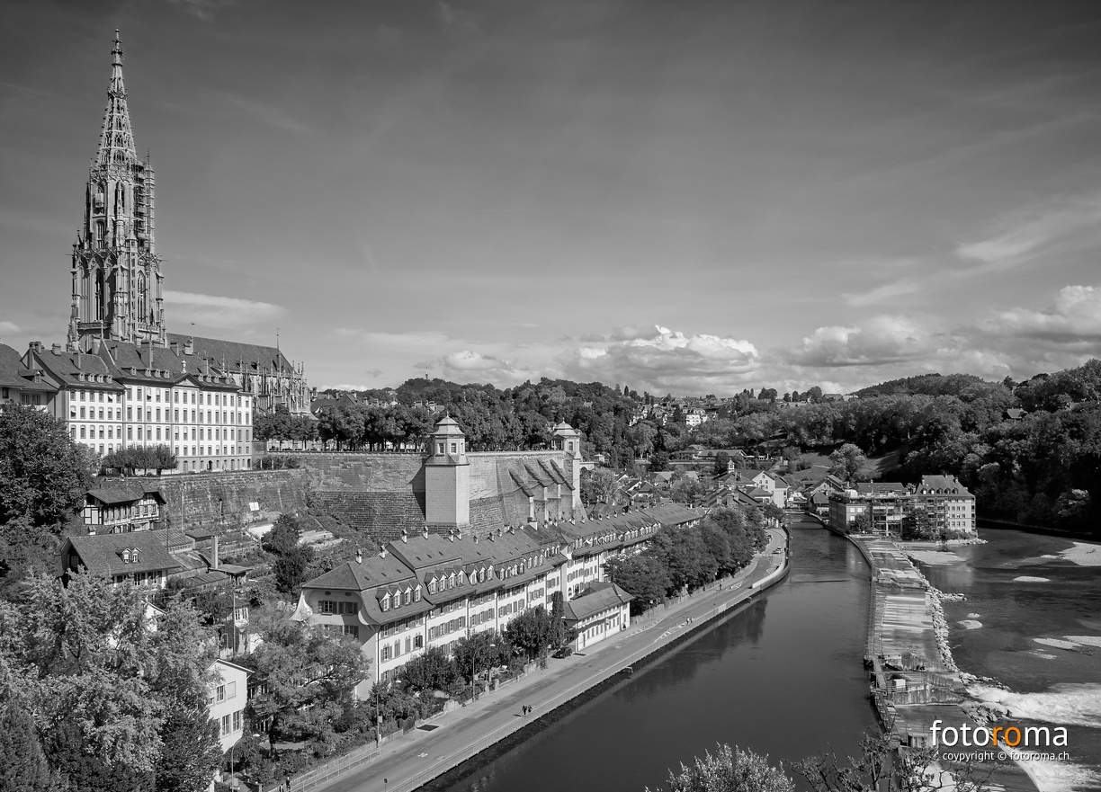 RM-2019-365-271.jpg