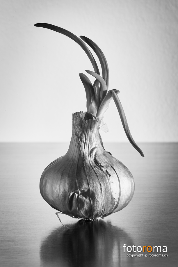 RM-2019-365-353.jpg