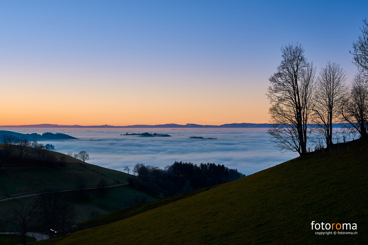 Nebelmeer
RM-2019-365-364.jpg