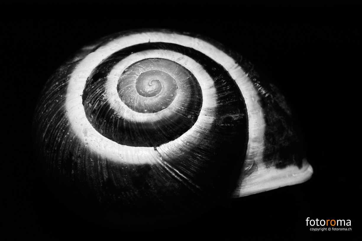 La spirale
RM-2020.07.29-0409.jpg