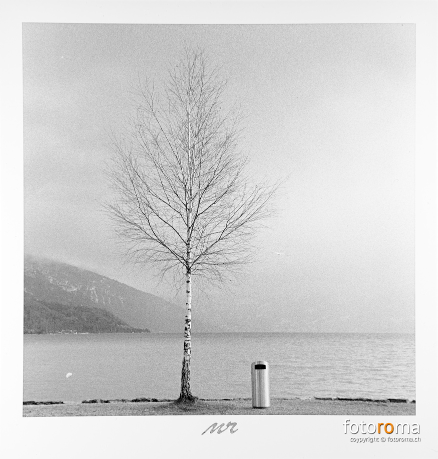 The birch and the bucket
Papierabzug
Rollei 35SE & Sonnar 40mm f1:2.8
f8, 1/250s
RM-2021.03.19-0039.jpg