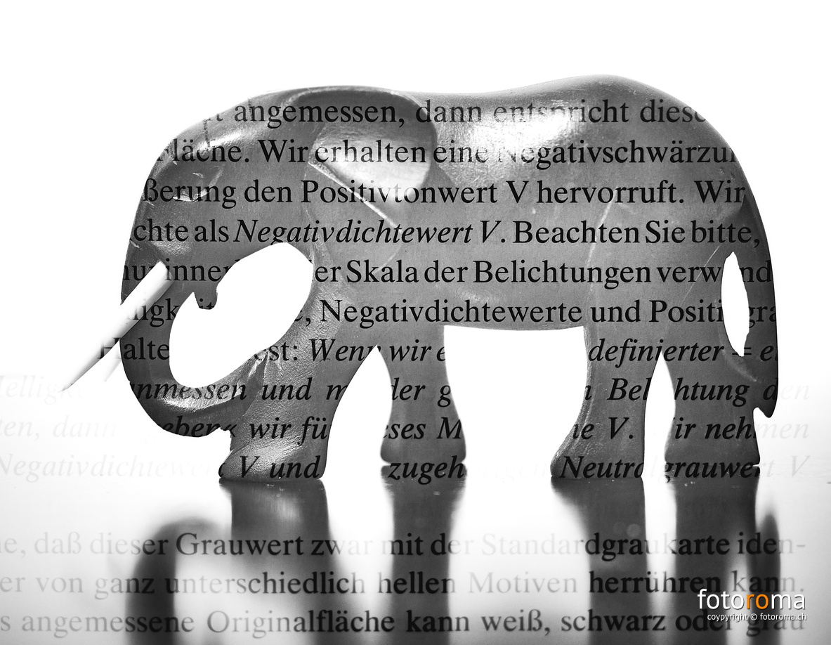 Ansel and the Elephant
Doppelbelichtung mit Holzelefant und der Seite 61 aus dem Buch "Das Negativ" vom Ansel Adams.
RM-2021.05.10-0158.jpg