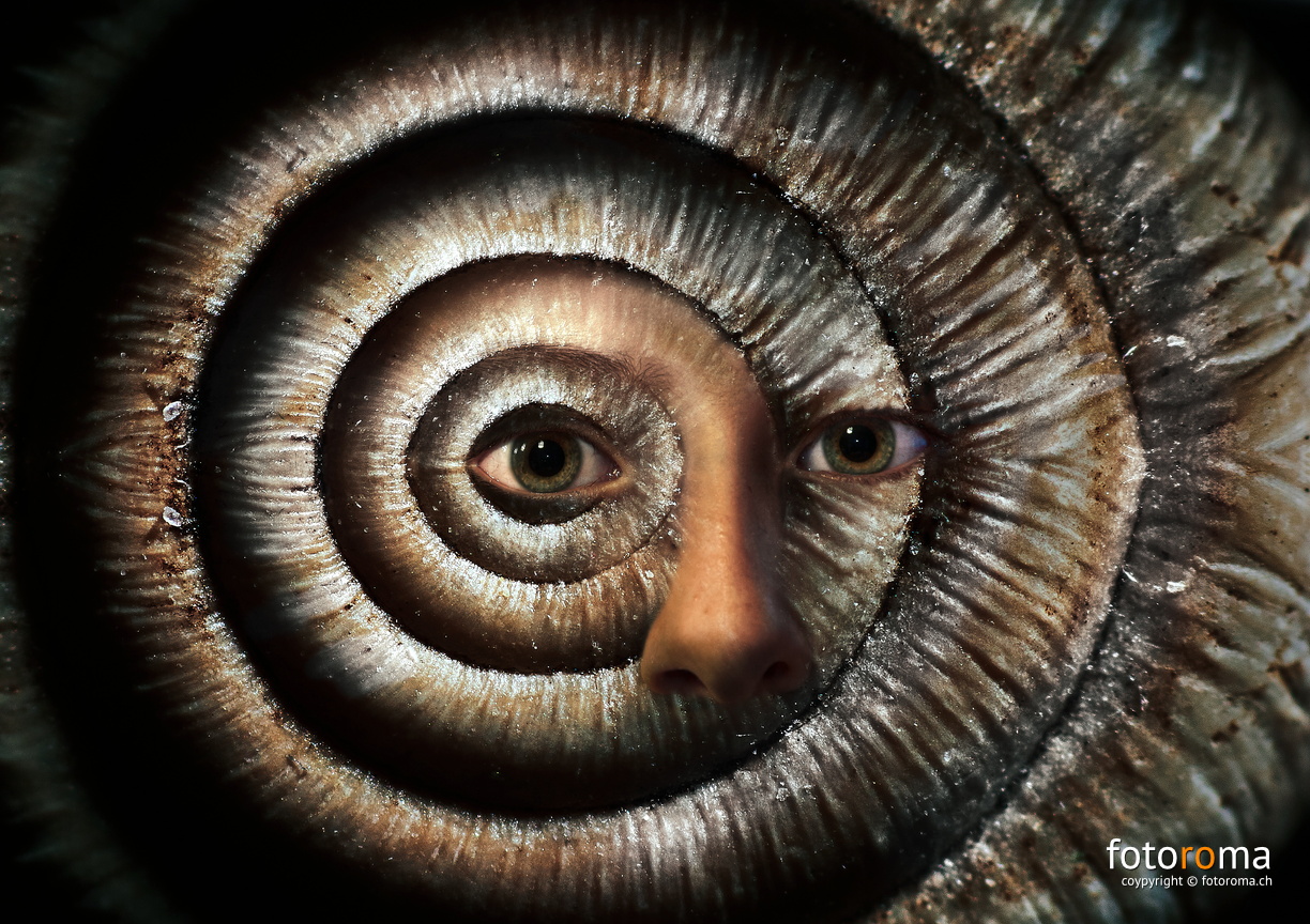 Vision of the snail
RM-2021.05.13-0161.jpg