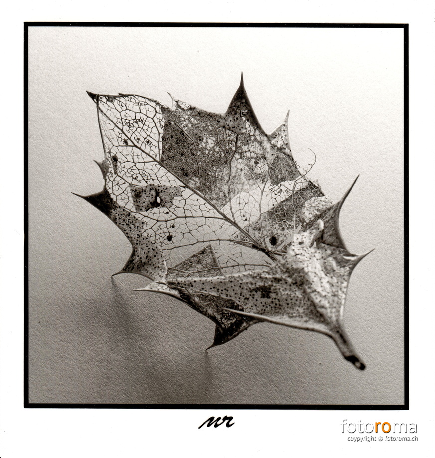 RM-2021.08.01-0233.jpg