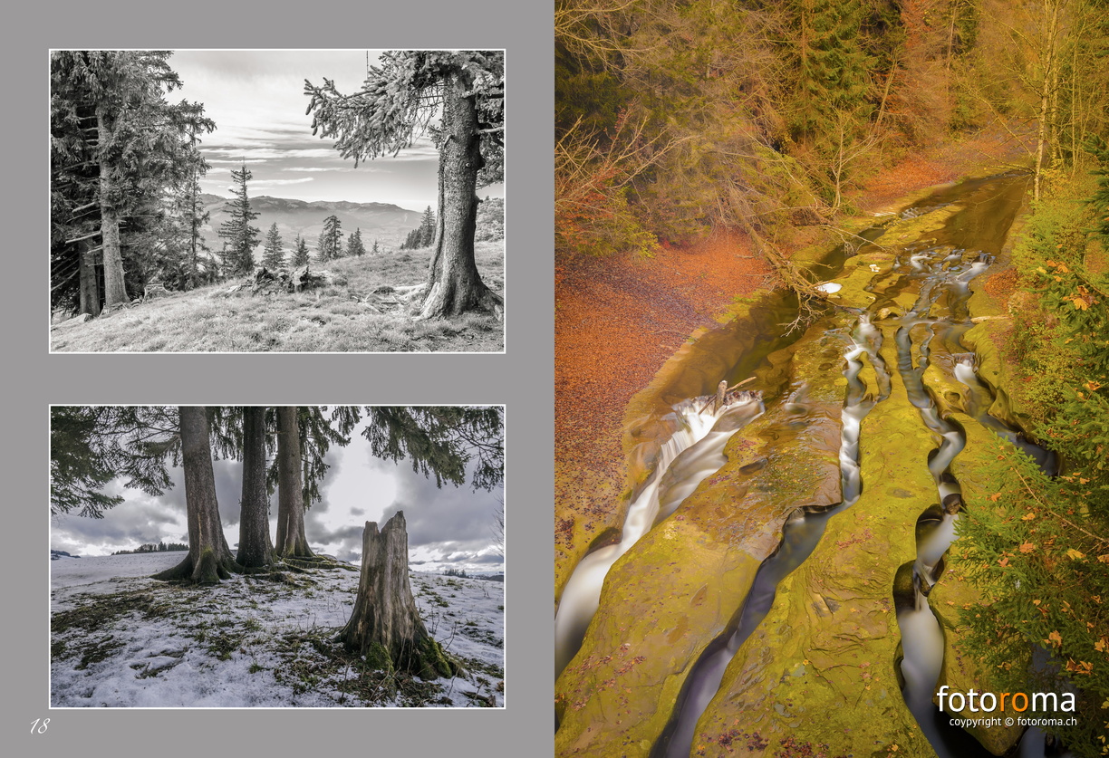 Portfolio1-10.jpg