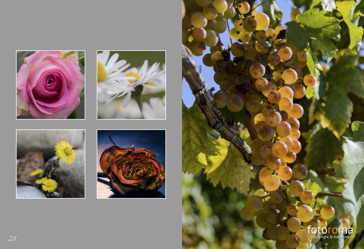 Portfolio1-15.jpg