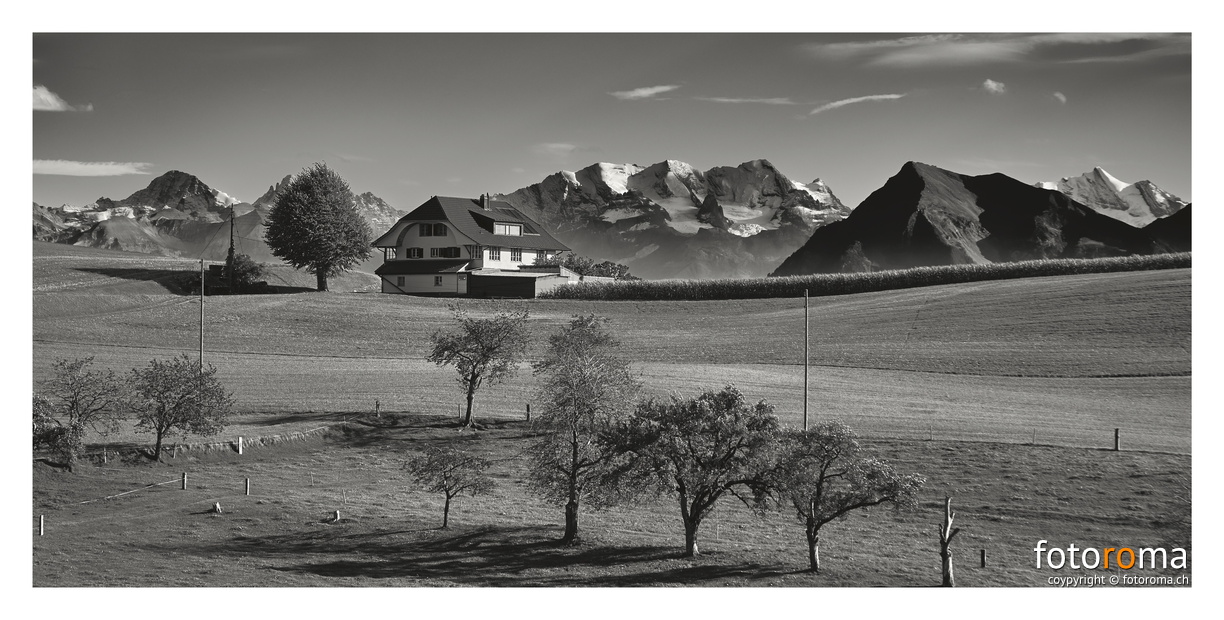 Portfolio2-32.jpg