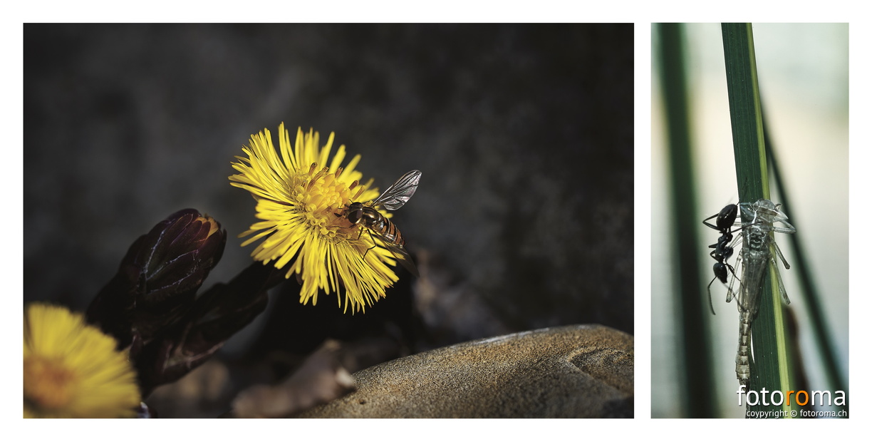 Portfolio2-44.jpg