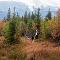 RM-2023.10.15-0682.jpg