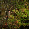 RM-2023.10.15-0683.jpg