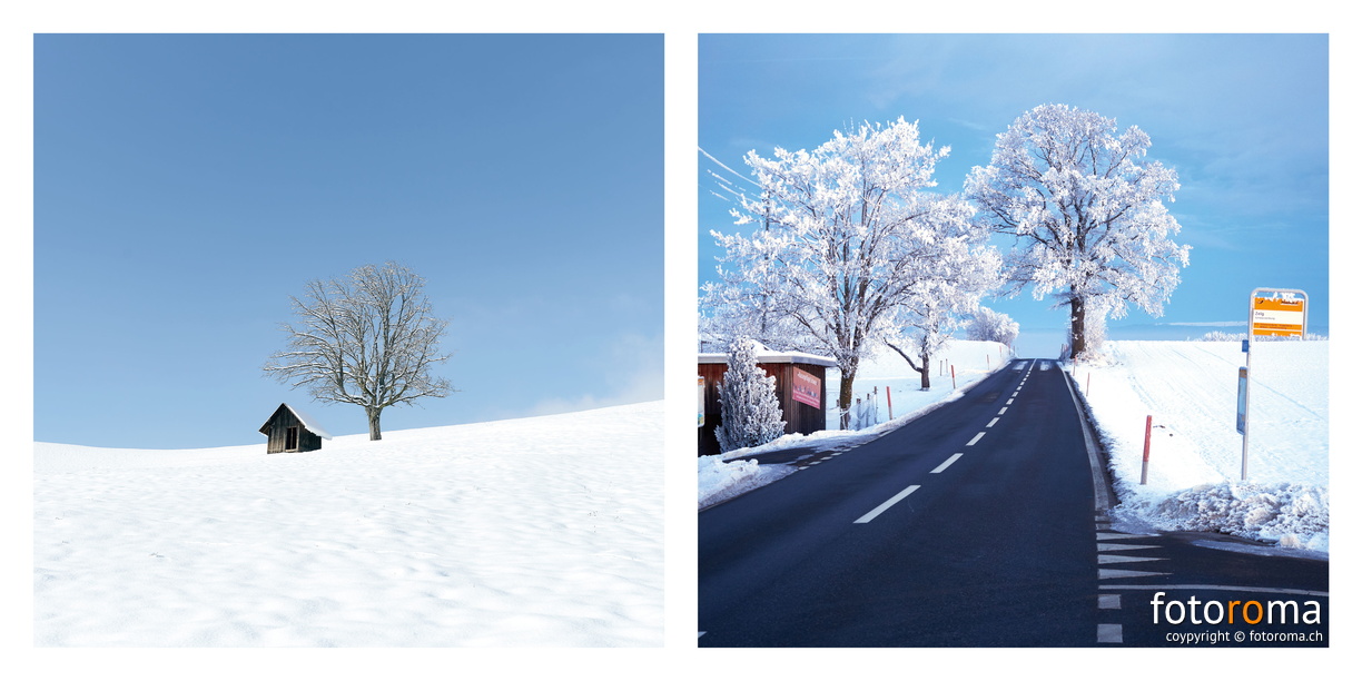 Portfolio3-00015.jpg