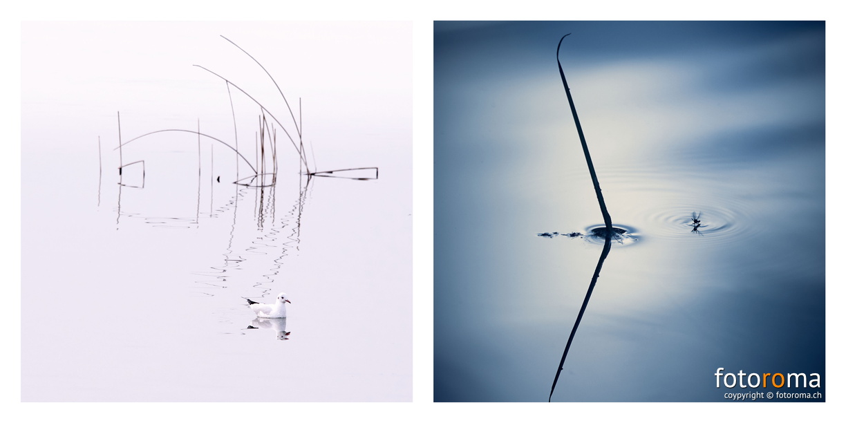 Portfolio3-00016.jpg