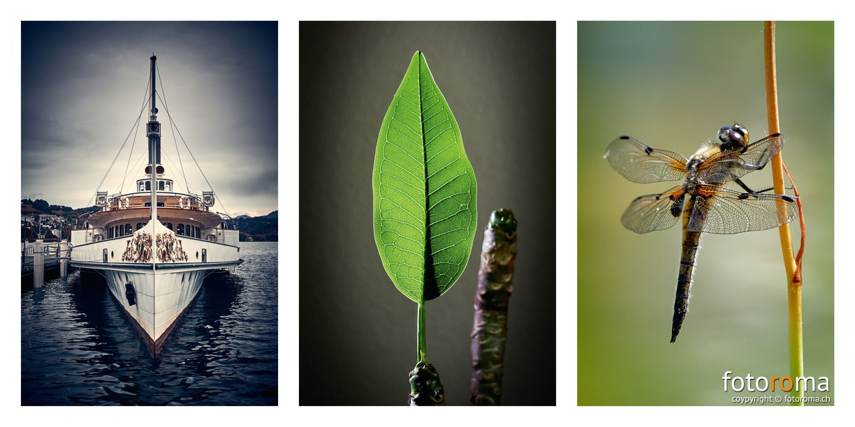 Portfolio3-00020.jpg